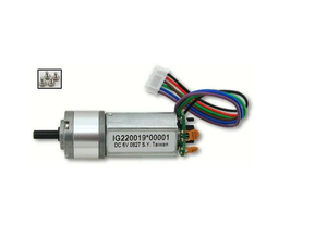 290-006 AC/DC Servo Motor